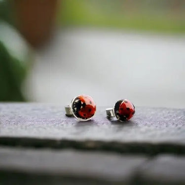 Little Ladies | Real Ladybug Stud Earrings - Pretty Weird