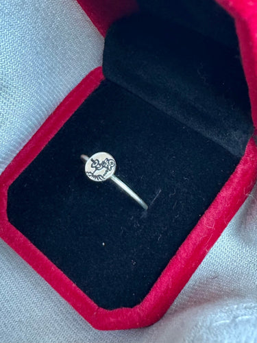 Silver Silly Phillies Phanatic Band Ring – Hand Engraved 4mm Flat Philadelphia Phillies Mascot Ring Pretty Weird