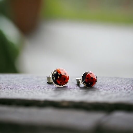 Little Ladies | Real Ladybug Stud Earrings - Pretty Weird