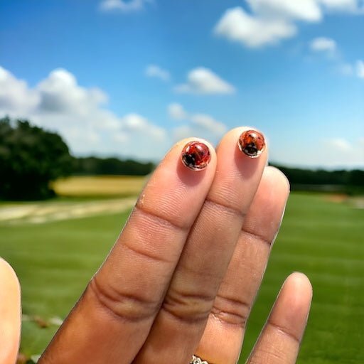 Little Ladies | Real Ladybug Stud Earrings - Pretty Weird